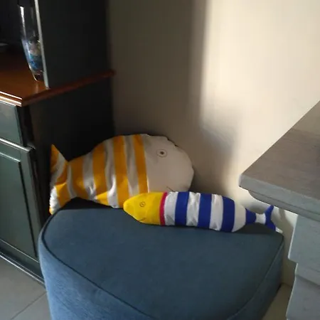 Rua 5 House غافانا دا فاجويرا