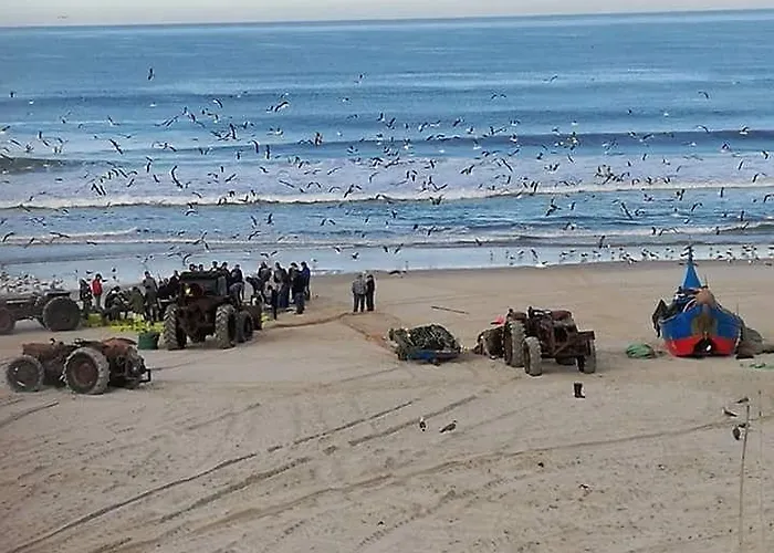 Rua 5 House 3* Gafanha da Vagueira